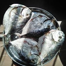 Resipi acar ikan masin warna warni kemerdekaan chefzam oleh dunia hanya sementara fy cookpad. Fathiah Nabila Cara Mudah Buat Ikan Masin Kering Sendiri Di Rumah