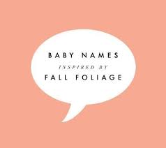 They Re Really Stretching It With Tawny Leif Orla And Xanthe Baby Names Cute Baby Names T Baby Names