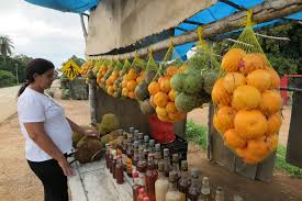 Frutos nativos geram renda para moradores da Chapada do Araripe, no  interior do Ceará | Ceará | G1