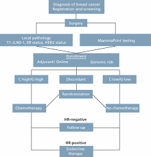 A diagnosis of lung cancer naturally causes some overwhelming emotions, but you don't have to let those emotions get the best of you. Using Multigene Tests To Select Treatment For Early Stage Breast Cancer In Journal Of The National Comprehensive Cancer Network Volume 11 Issue 2 2013