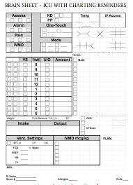 The 10 best nurse brain sheets. Nurse Brain Sheets Icu With Charting Reminders Scrubs The Leading Lifestyle Magazine For The Healthcare Community