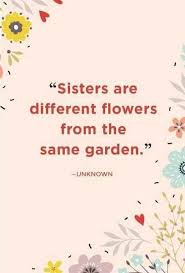We did not find results for: Short Sister Quotes Sister Quotes Funny Little Sister Quotes Sister Quotes