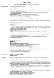 dump truck driver resume samples