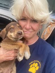 Litter of 10 puppies rescued today...