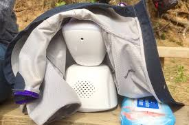 Skole og utdanning, Sandnessjøen