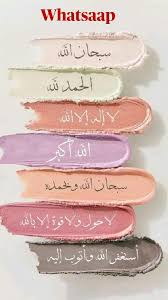 Arshia Nasir Zia (arshia0730)