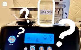 If you're into creating your diy descaling solutions, and diy homemade recipes in general, you probably already know that vinegar is an essential ingredient in. 2p1yjwzelauzam