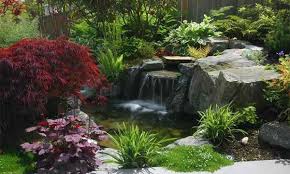 The result is a custom look that adds visual interest and texture to a blank wall. 15 Pond Landscaping Designs For Your Garden Home Design Lover