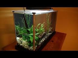 Fluval Spec 5 Gallon Unboxing Setup Youtube Betta Fish Tank Aquarium Fish Tank Aquarium Kit