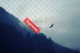 We did not find results for: Supreme Pc Wallpapers Wallpaper Cave