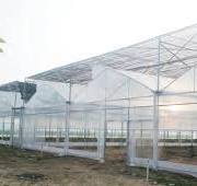 Plastic Film Covered Sawtooth Roof Open Greenhouse - Large ...