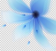 We did not find results for: Light Blue Flower Png Clipart Blue Blue Flower Blue Rose Circle Color Free Png Download