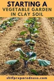 Gardening Starting A Vegetable Garden Clay Soil Vegetable Garden