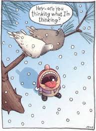 That includes your choice of jokes. Funny Jokes For Adults Clean Short Images Blog Dovnload Images