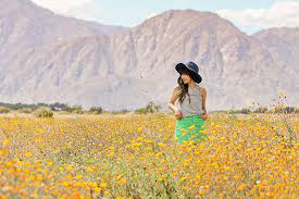 Every spring, a fresh bloom of southern california wildflowers appears (assuming we've had some rain). 11 Beautiful California Flower Fields You Must Visit This Spring