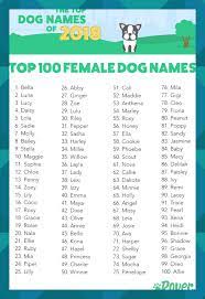400 memorable golden retriever names to celebrate your new dog. The Top 100 Female Dog And Puppy Names Of 2018 Pet Pets Dog Cat Dogs Cats Petname Petnames Dogname Catname N In 2021 Dog Names Female Dog Names Puppy Names