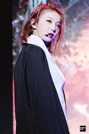 191020 1st Official Fanclub Fanmeeting C Fennec Fox Do Not Edit Dream Catcher Park Jimin Cute Kpop Girls