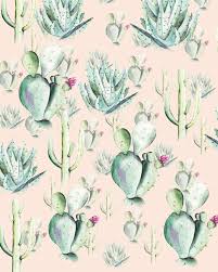Most succulents can tolerate direct sunlight, but succulents definitely do not require direct sunlight in order to survive. Non Woven Photomural Cactus Rose P045a Vd2 From Komar