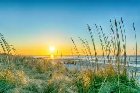 Hvidbjerg strand feriepark, blåvand, denmark. Hvidbjerg Strand Feriepark Einfach Rundum Perfekt Ssst Stb