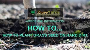 Add air to the soil. Zb6mra8yxombgm