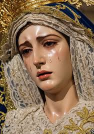 Mi esposo me dice que construyamos 🏠 en el terreno de su mamá 🤔 ¿Qué me  recomiendan?