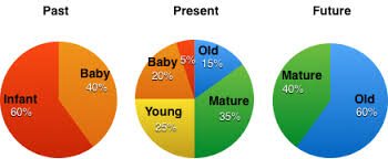 What Is Meant By Soul Age Big Picture Questions