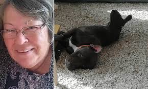 Ex-pat British grandmother, 67, dies after being savaged by stray pit bull  she rescued in Spain