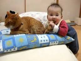 Kedinin Kuyrugunu Isiran Bebek Chat Bebe Humour