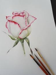 Apple Blossom Watercolor Video Note To Self Description F Flower Drawing Flower Art Roses Drawing