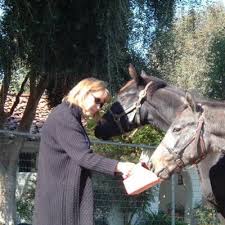 Laura Siler (@laurasiler)