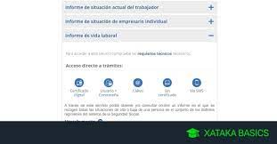 2.1 no puedo ver el pdf. Como Mirar Online Y Descargar Tu Vida Laboral