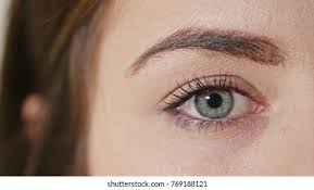 نتیجه جستجوی لغت [constricted] در گوگل