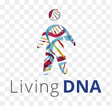 Familytreedna is a division of gene by gene, a commercial genetic testing company based in houston, texas. Genealogical Dna Test Genetic Testing Genealogy Family Tree Dna Dna Tree Company Text Png Pngegg
