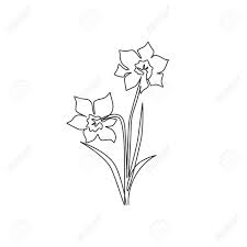 Draw.io is one of the famous online drawing tools from open source technology. One Single Line Drawing Of Beauty Fresh Narcissus For Garden Royalty Free Cliparts Vectors And Stock Illustration Image 155074165