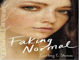 Faking Normal (book)