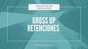 Para este ejemplo vamos suponer que hemos comprado un televisor por $100 mas 12% iva; Grossing Up Retenciones E Impuestos Que No Son Deducibles Bolivia Impuestos Blog
