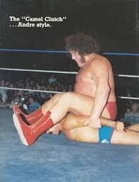 One room in the house every week. Retro Reading Vol 7 Sports Review Wrestling November 1984 Wrestling Recaps