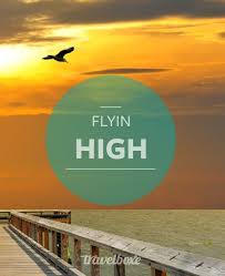 Birds On The Bay Podcast Flying High Travel Bay Water Sky Quotes Inspiration Quotestoliveby Travel Quotes Inspirational Travel Inspiration Travel Quotes