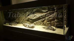 Epingle Par Akvaryum Fon Tabalkon Aqua Sur Aquarium