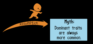 Maybe you would like to learn more about one of these? Https Www Amoebasisters Com Uploads 2 1 9 0 21902384 Video Recap Of Alleles And Genes By Amoeba Sisters Pdf