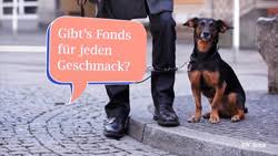 Einfaches banking, innovative app und persönliche beratung. Hirschen Entwickeln Tv Spot Fur Die Bw Bank