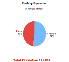 flushing demographics the peopling of new york city