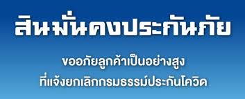 บริษัท สินมั่นคงประกันภัย จำกัด (มหาชน) เป็นบริษัทที่ดำเนินธุรกิจด้านการบริการ รับประกันวินาศภัยเป็นหลัก. P3y1aytp67xkim