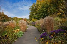Browse the list of upcoming concerts, and if you can't. Gartenblick Botanischer Garten Ulm Foto Bild Landschaft Garten Parklandschaften Pflanzen Bilder Auf Fotocommunity