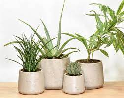 Check spelling or type a new query. Large Cement Planter Concrete Planter Modern Planter Planter For Stands Indoor Outdoor Planter Cement Planters Concrete Plant Pots Concrete Planters
