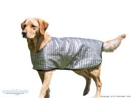 Cooldown Cape Hundeweste Hundeshop De Hunde Shop Hunde Futter Hunde