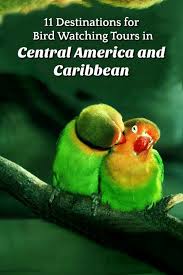 Bird Watching Tours In Central America And Caribbean If Chirping Of Birds Sounds Like Music To Yo Central America Travel Carribean Travel South America Travel