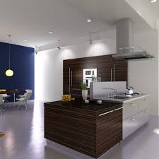china malaysian kitchen cabinets shaker