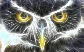 The most beautiful wallpapers for iphone and android. Cool Animal Wallpaper Light 15 1280x800 Owl Wallpaper Animal Wallpaper Fractal Art