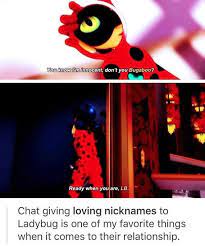 Don T Forget My Lady And Notice That The Only Name She Says To Stop Is Bugaboo Miraculous Ladybug Anime Miraculous Ladybug Memes Miraculous Ladybug Funny